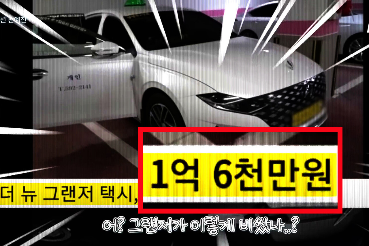 S클래스 보다 비싼 그랜저 택시