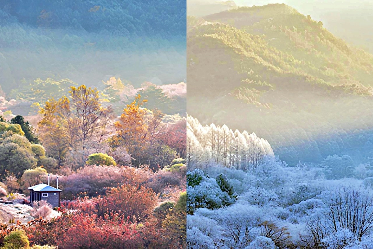 인제군 비밀의 정원 /사진=인제군청 제공, 오토트리뷴 편집