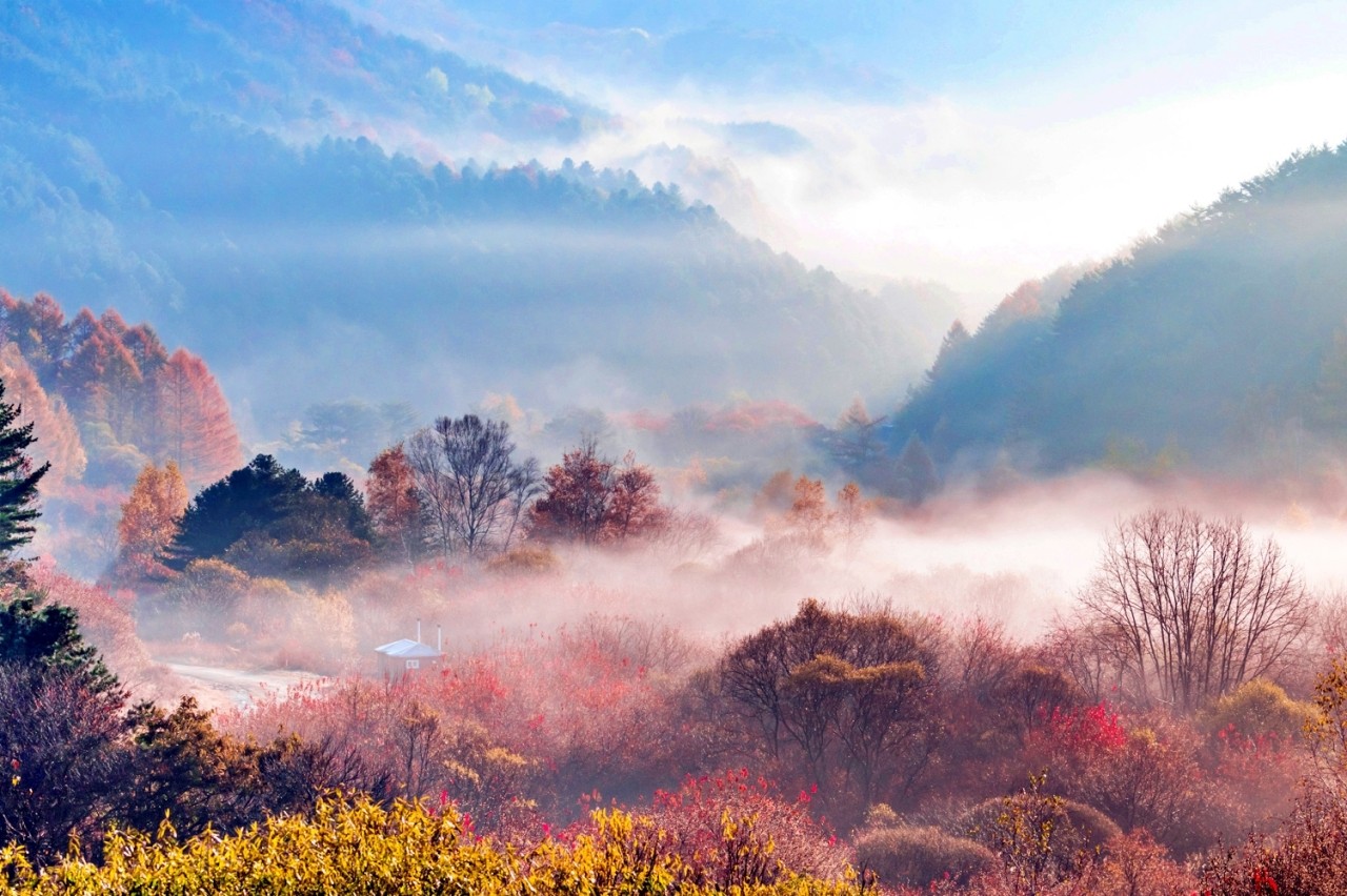 인제군 비밀의 정원 /사진=산림청