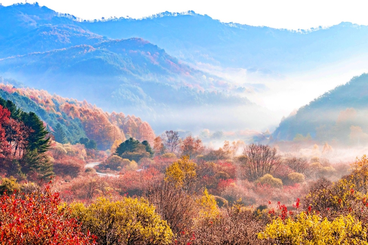 인제군 비밀의 정원 /사진=산림청