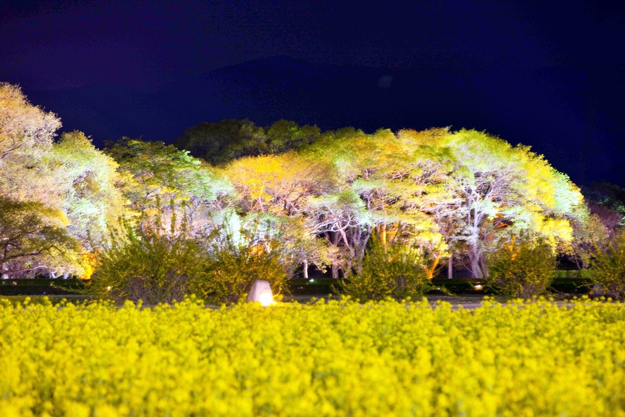 /사진=한국관광공사 김지호