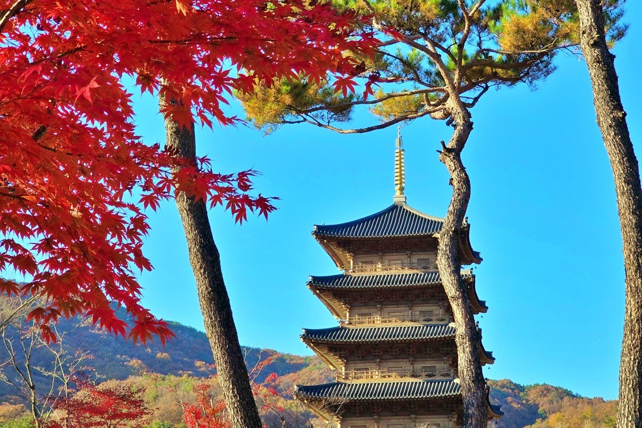 사명대사공원 /사진=연합뉴스