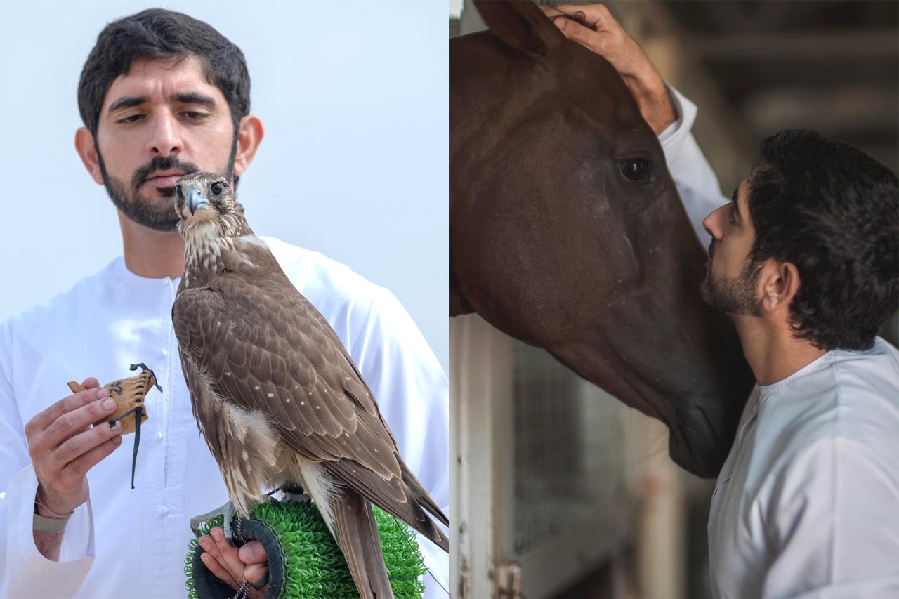  '만수르 처남'의 함단 왕세자는 매 사냥과 승마를 즐긴다. /사진=함단 왕세자 SNS