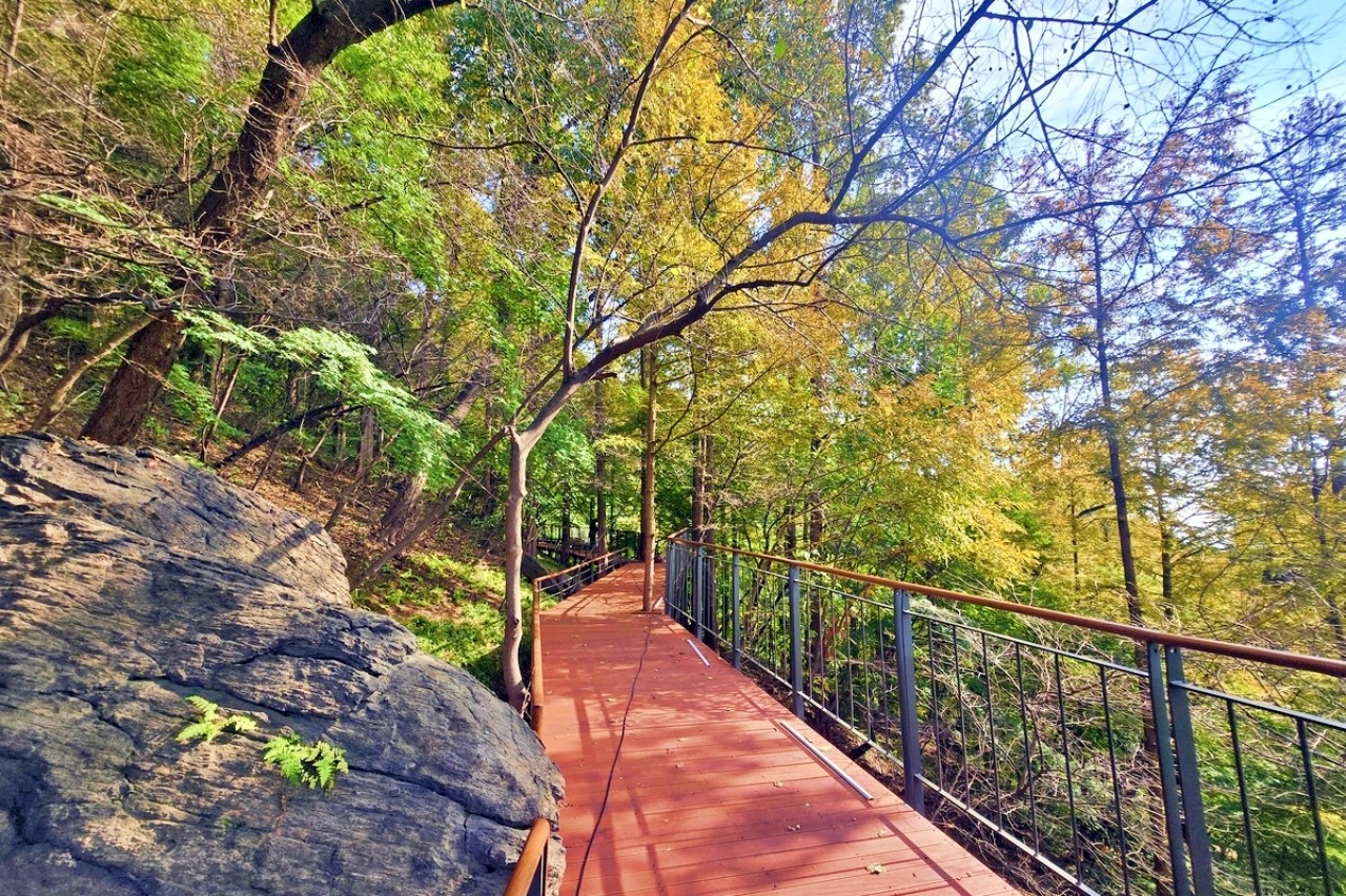 남산 하늘숲길 /사진=서울특별시청