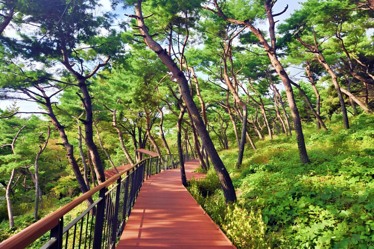남산 하늘숲길 /사진=서울특별시청