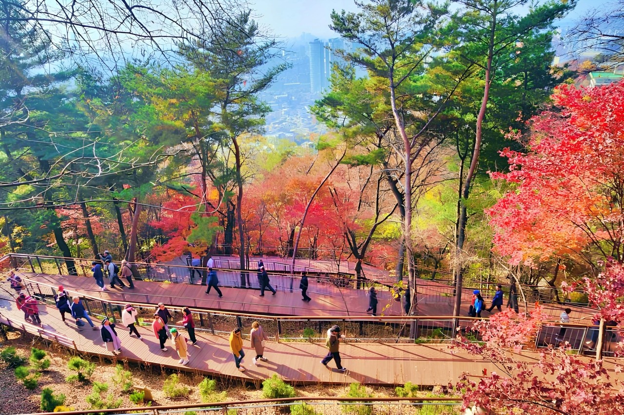 남산 하늘숲길 /사진=서울특별시청