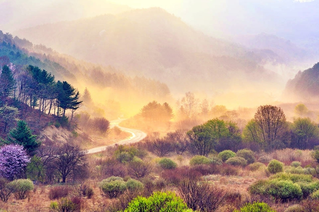 인제군 비밀의 정원 /사진=인제군청