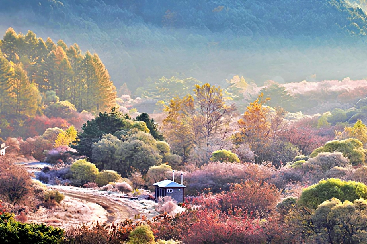 인제군 비밀의 정원 /사진=인제군청
