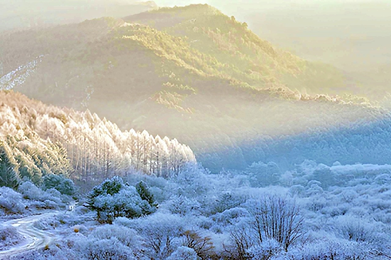 인제군 비밀의 정원 /사진=인제군청