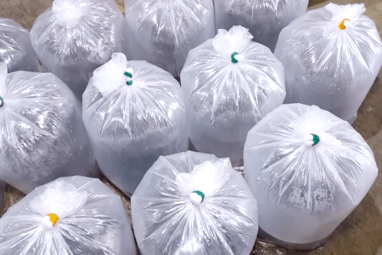 ** 1년 투자로 4억 5천만원 대박? 민물장어 양식, ‘인생 로또’의 진짜 비밀!
**