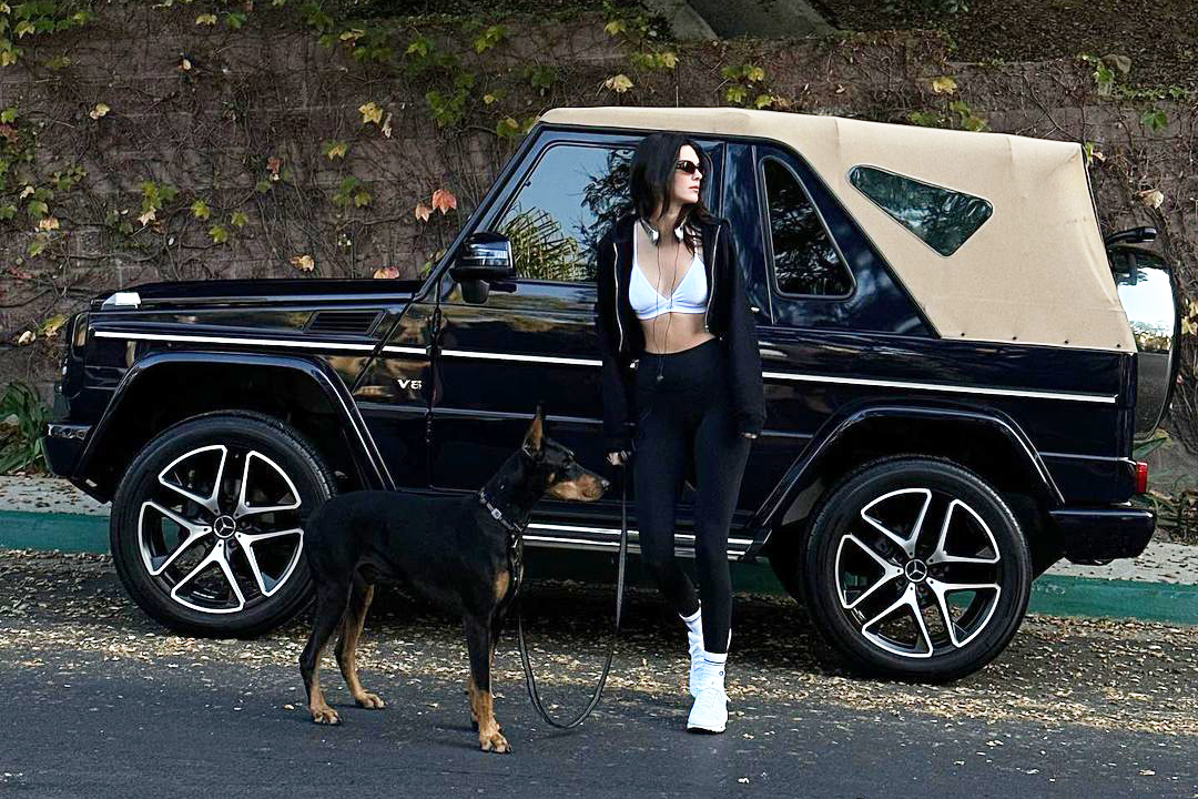 메르세데스-벤츠 G500 카브리오는 2대를 소유 중이다. /사진=켄달 제너 SNS