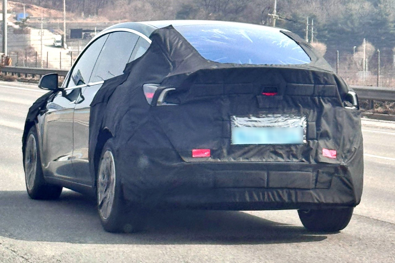 "팰리세이드급 가성비 SUV"... 테슬라 모델 Y 롱바디, 고속도로 '포착'