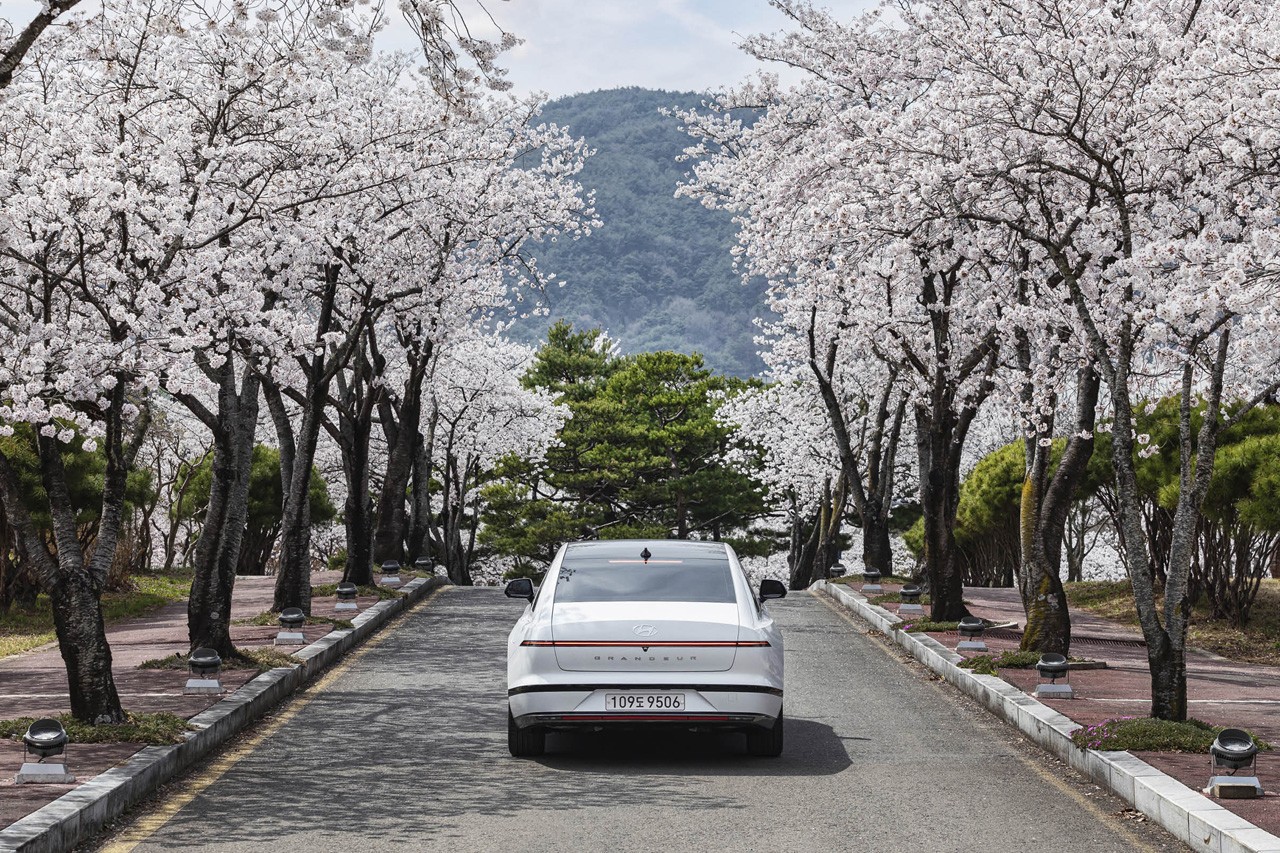 현대 그랜저 /사진=HMG저널