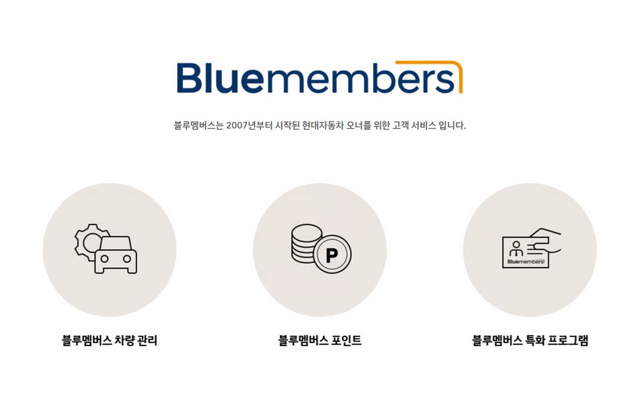 블루멤버스 소개 /사진=현대자동차