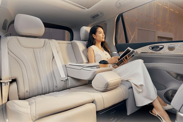 참고사진, 씨라이언 08 /사진=BYD